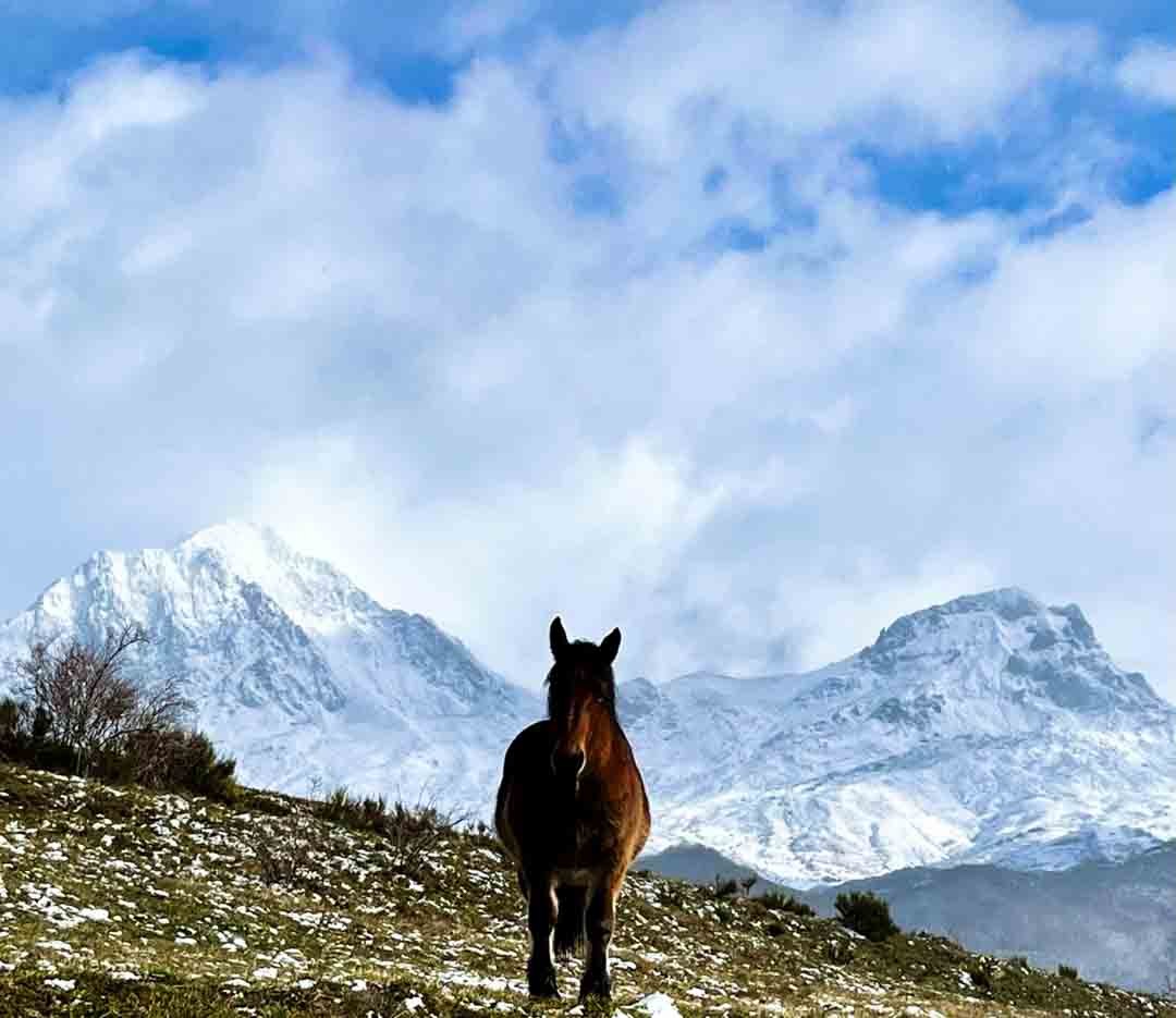 Paisaje de Babia con un caballo